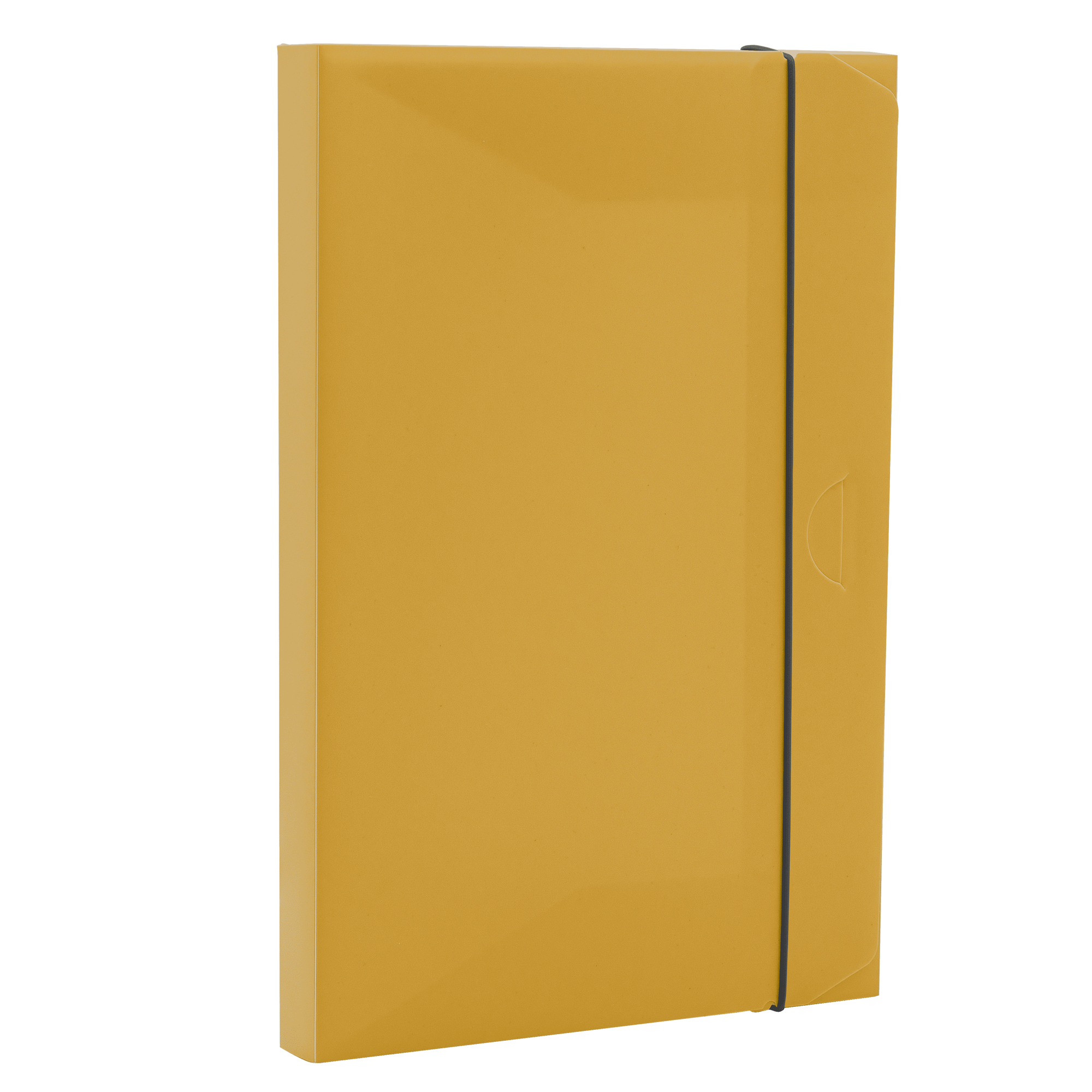 Cartellina 3 lembi HOLOS - PP - 25 …
