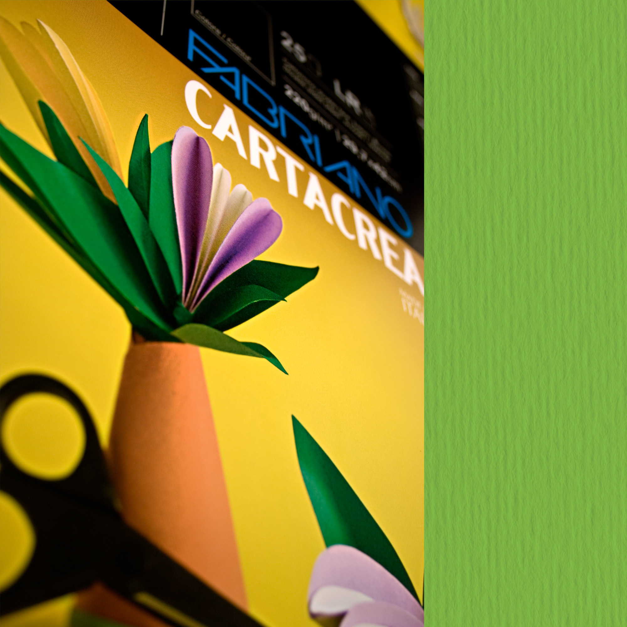Cartoncino CartaCrea - 35 x 50 cm - …