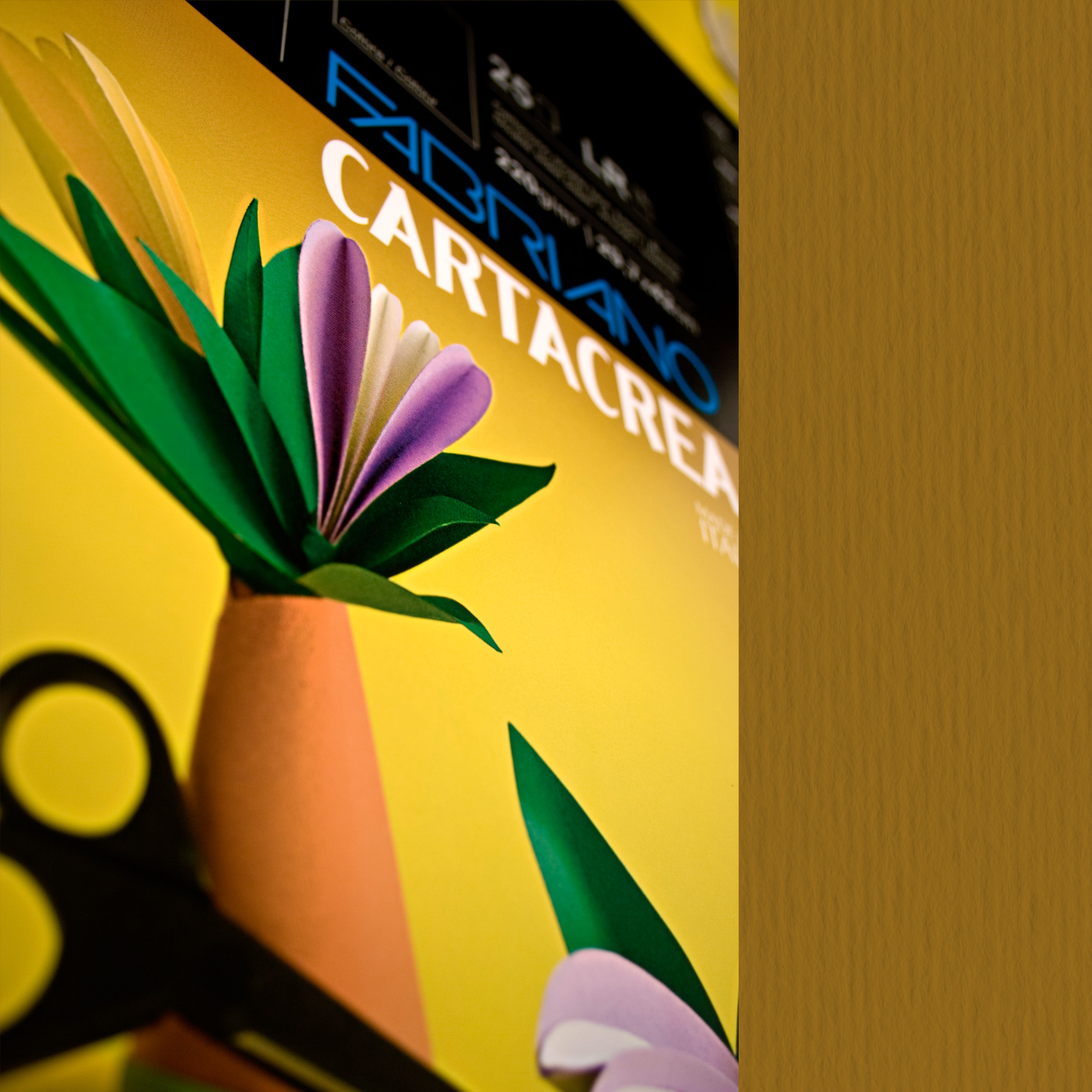 Cartoncino CartaCrea - 35 x 50 cm - …