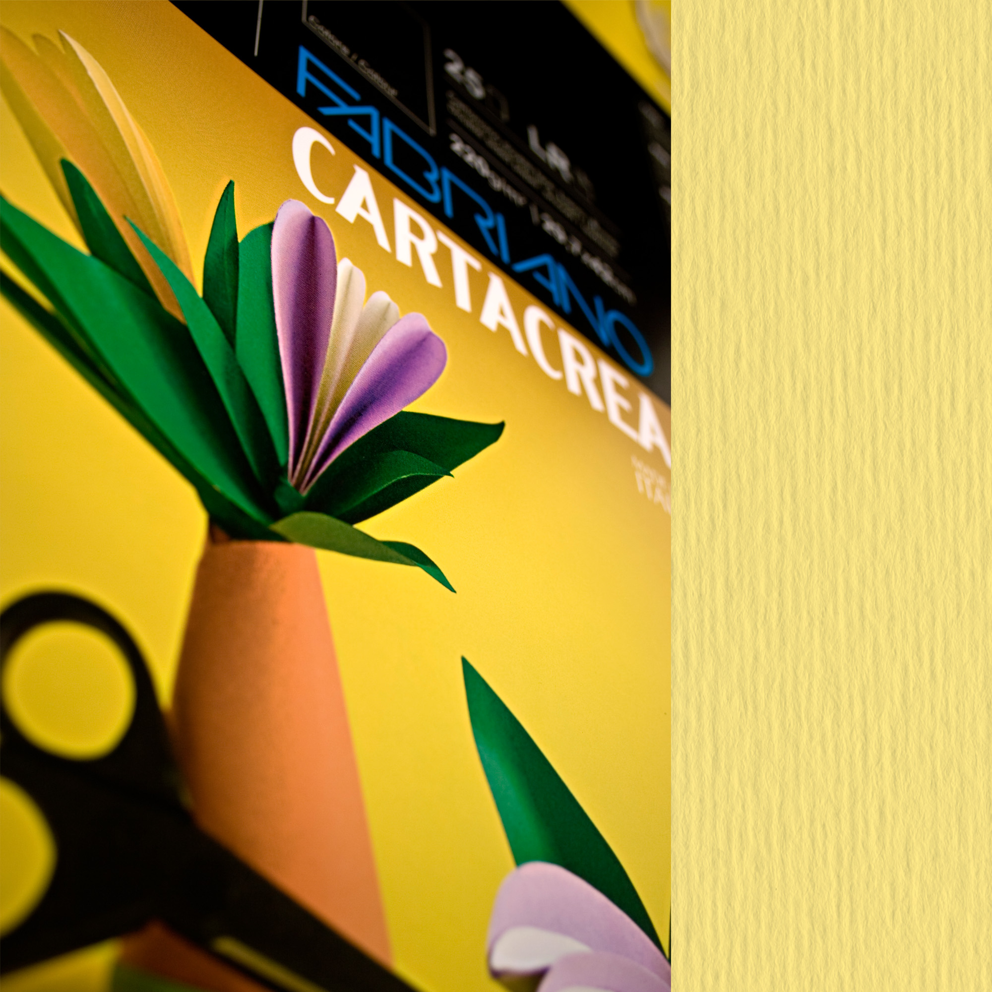 Cartoncino CartaCrea - 35 x 50 cm - …