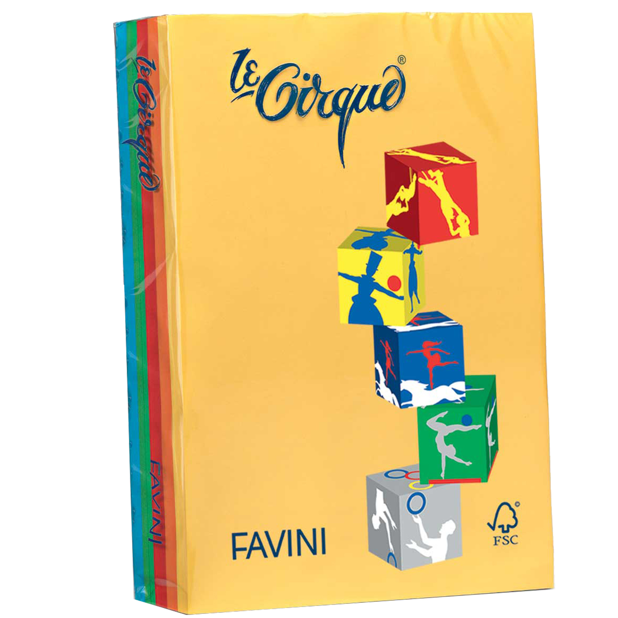 RISMA LE CIRQUE 80G MIX FORTI A4