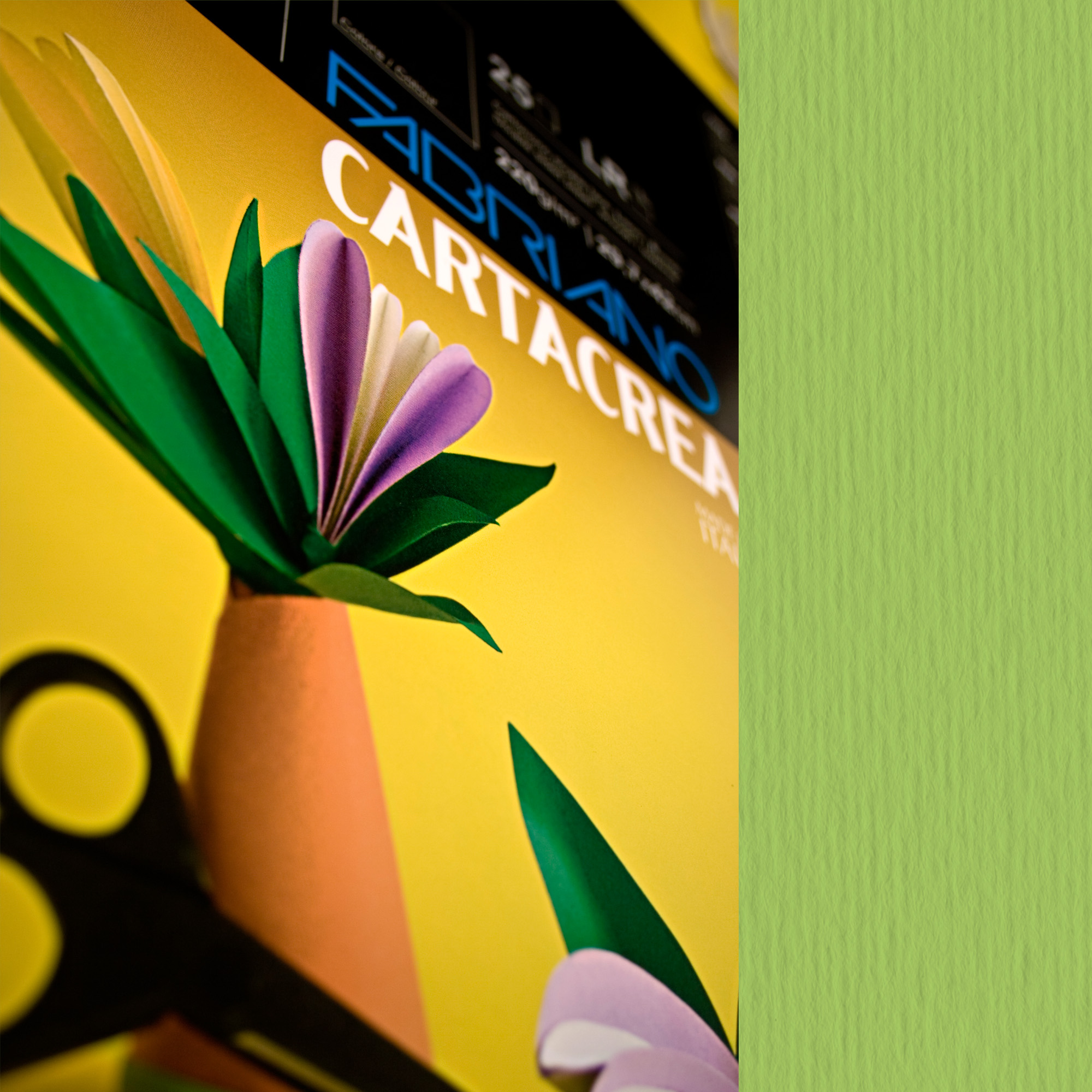 Cartoncino CartaCrea - 35 x 50 cm - …