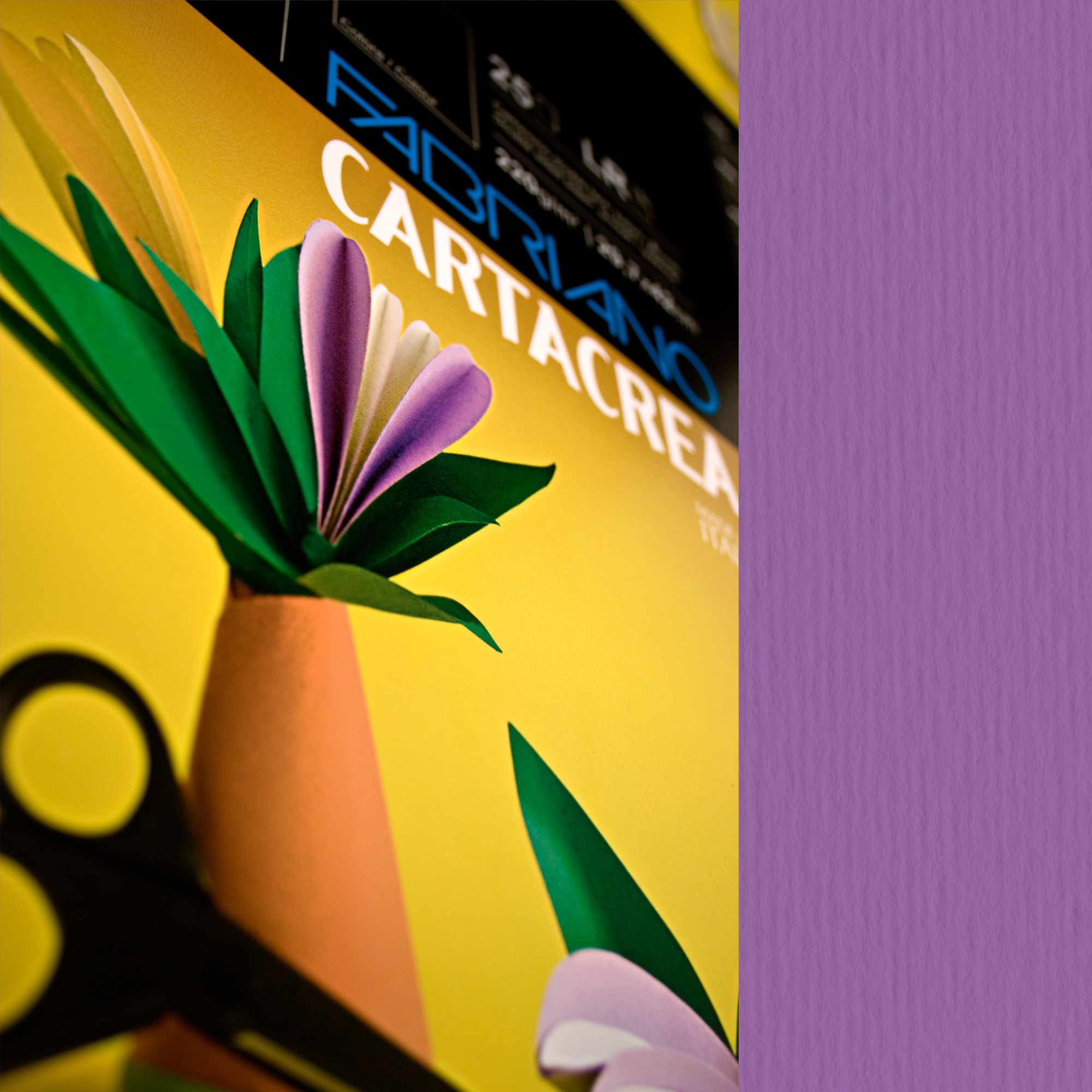 Cartoncino CartaCrea - 35 x 50 cm - …
