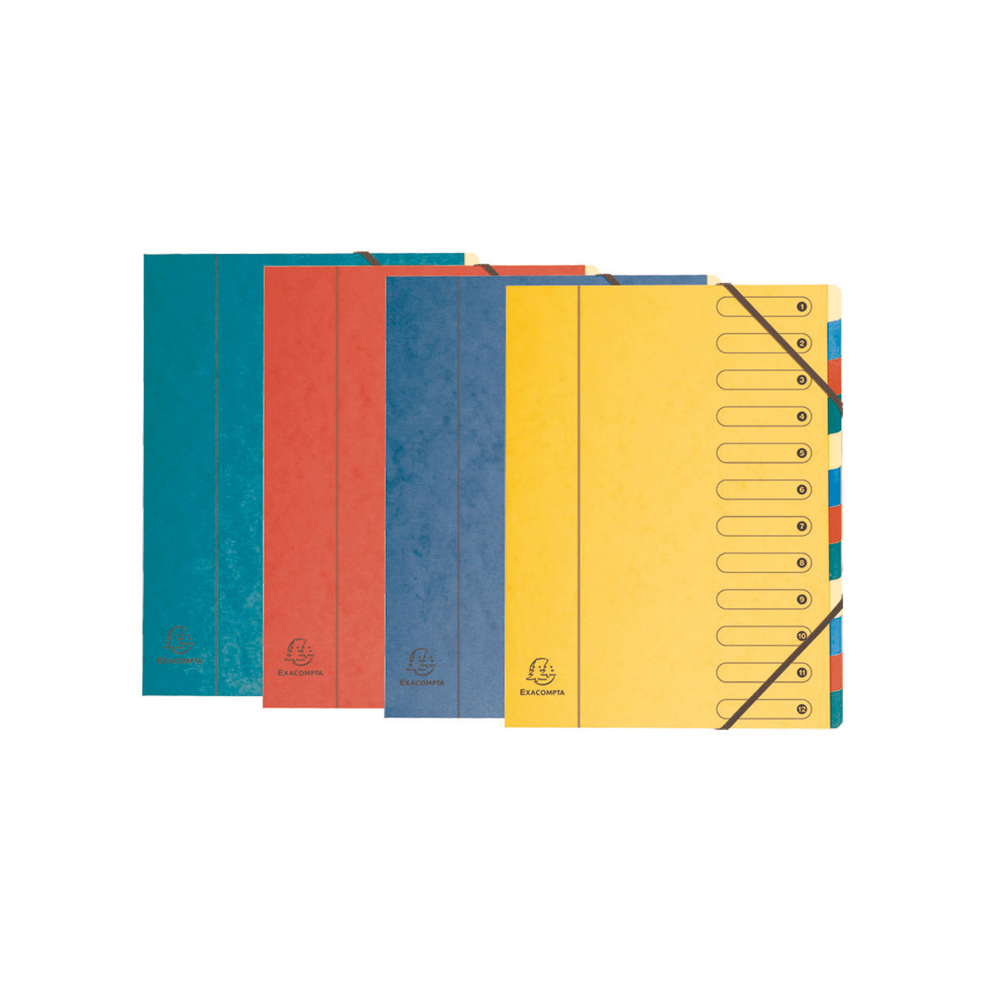 Classificatore numerico 1/12 Nature Future - 12 scomparti …