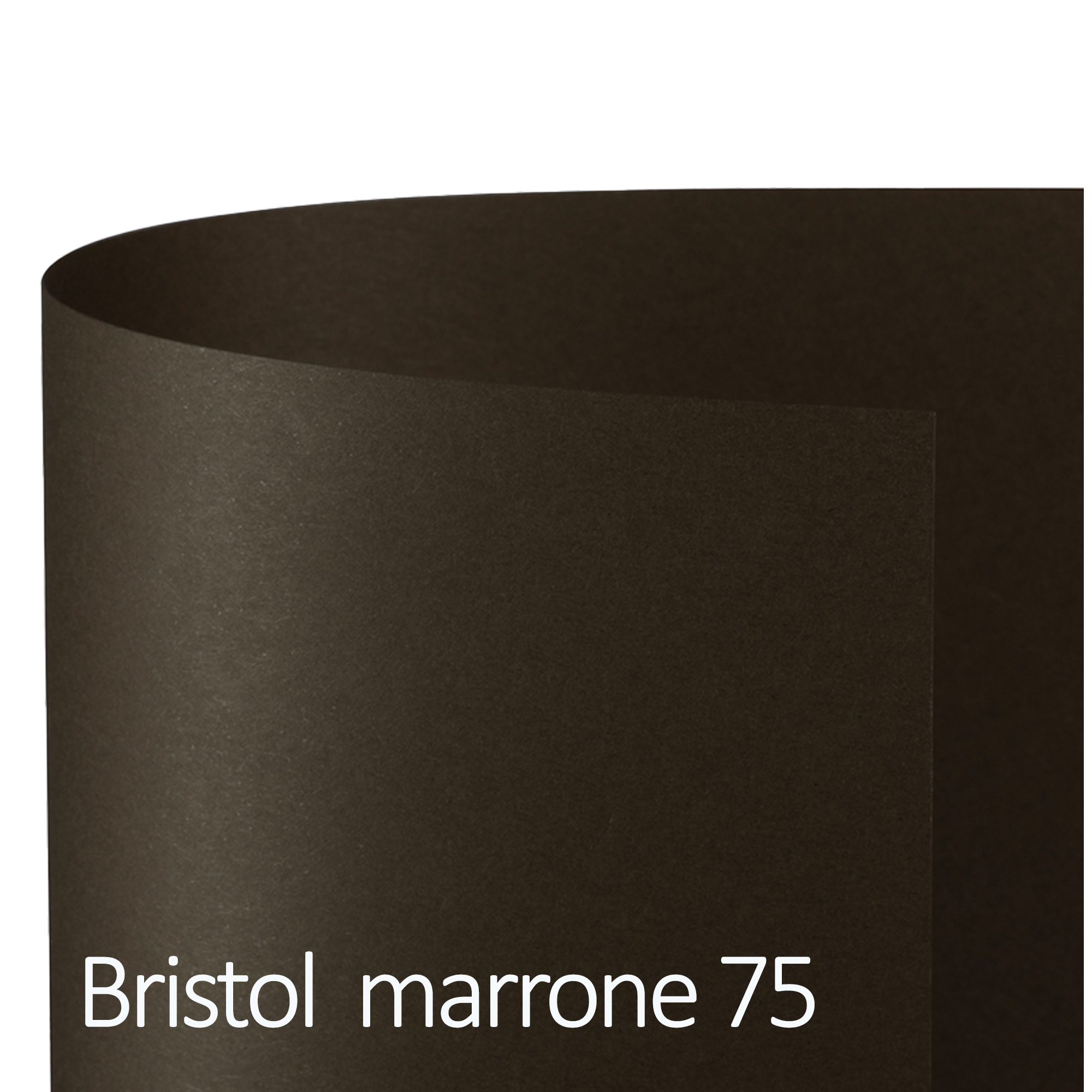 Cartoncino Bristol Color - 50 x 70 cm …