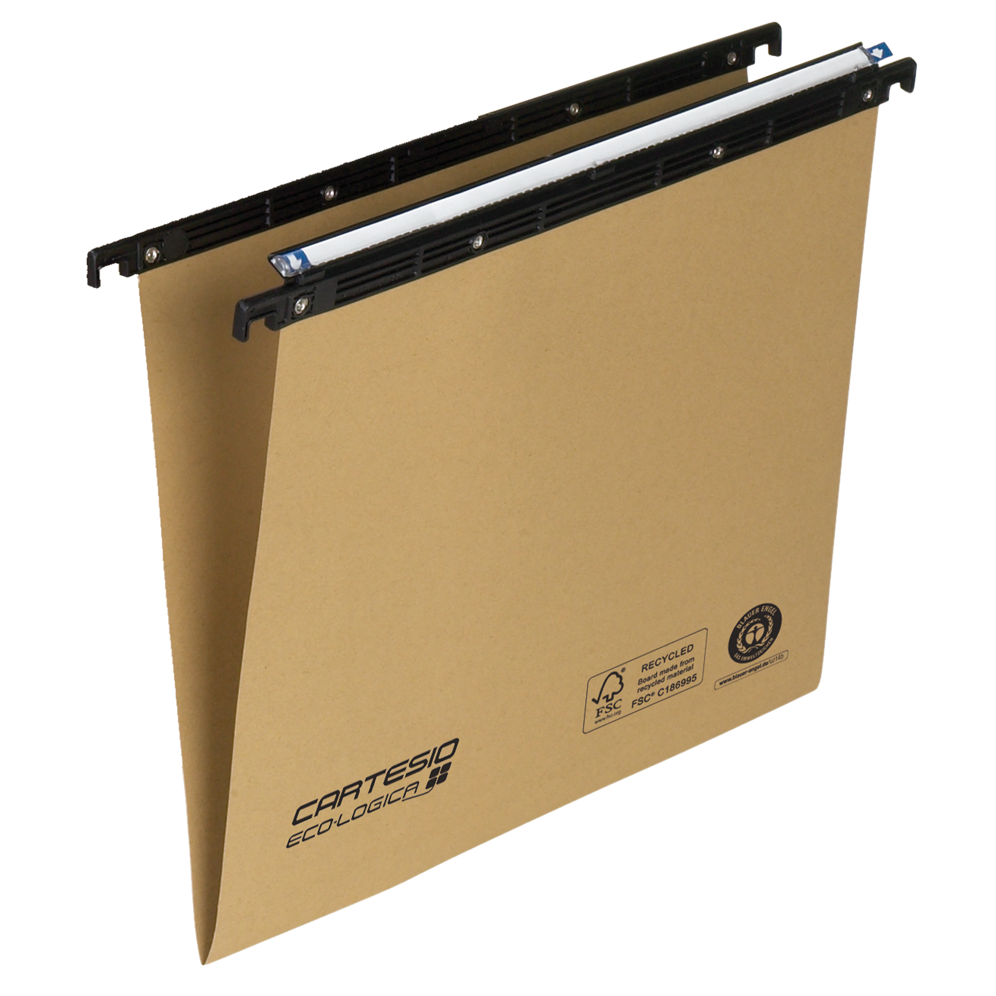 Cartella sospesa Cartesio Eco-logica - cassetto - 33 …