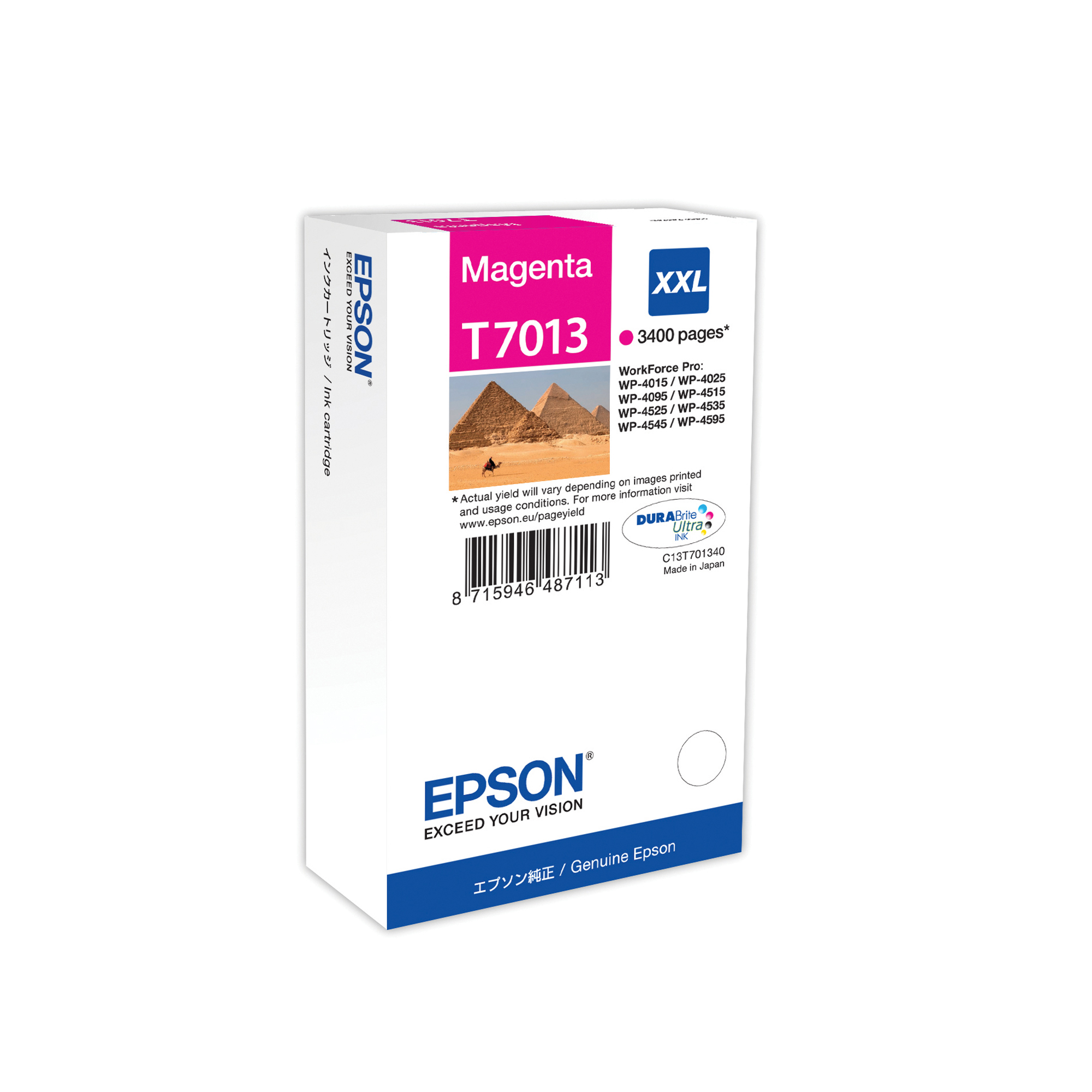 Epson T7013 - 34.2 ml - misura XXL …