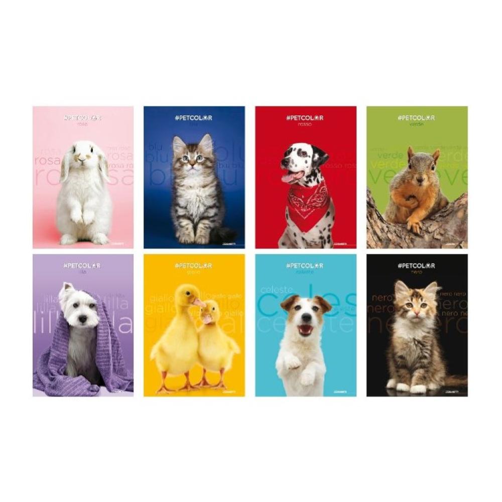 QUADERNO MAX.C RI.80G C/RIS.PET RAGAZZO/A 60/60