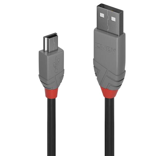 Lindy Cavo USB 2.0 Tipo A a Mini …