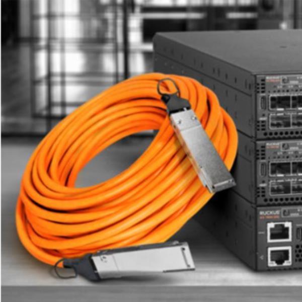 Ruckus E40G-QSFP-C-00501 - Cavo applicazione diretta 40GBase - …