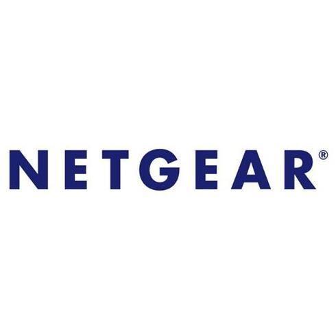 NETGEAR LICENZA INSIGHT PRO 1 SINGLE 5 YEAR