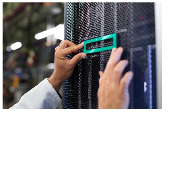 HEWLETT PACKARD ENTERPRISE HPE DL380 GEN10+ STND HEAT …