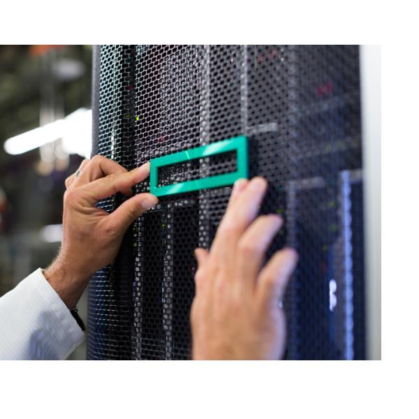 HEWLETT PACKARD ENTERPRISE HPE NS204I-U GEN11 HT PLG …