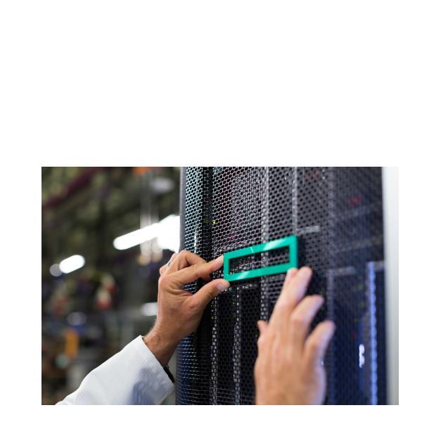 HPE DL380 G11 2U STANDARD (2 X SINGLE-ROTOR) …