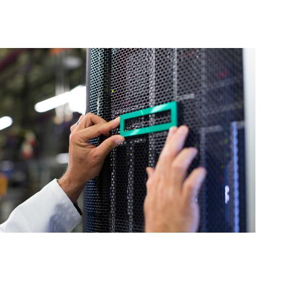 HEWLETT PACKARD ENTERPRISE HPE DL3X5 G11 NS204I-U ENABLE …