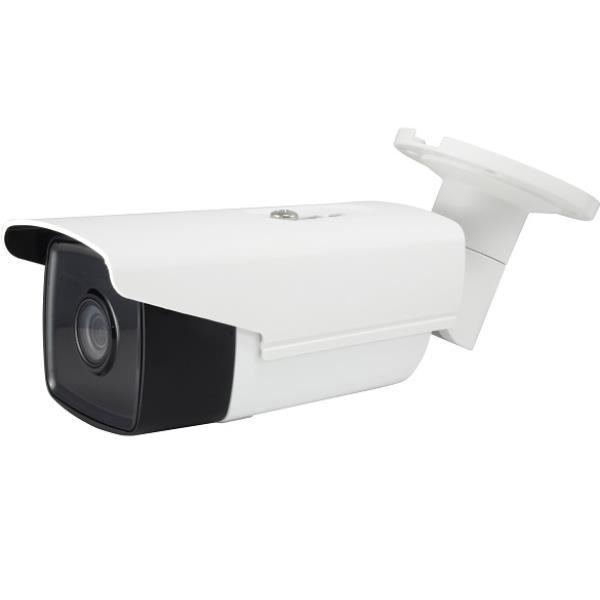 LevelOne FCS-5092 - Telecamera di sorveglianza connessa in …