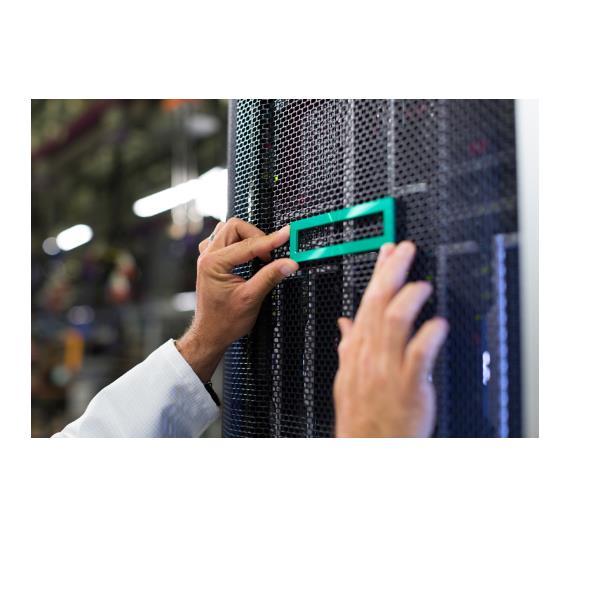 HEWLETT PACKARD ENTERPRISE HPE ML110 GEN11 NS204I-U ENABLE …