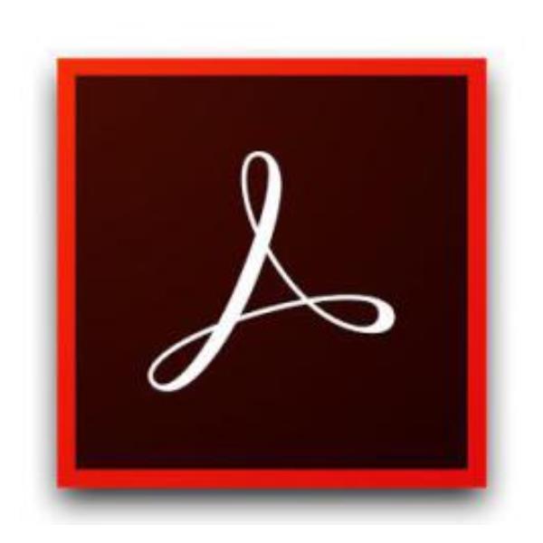 ADOBE ACRO STD DC ENT ML SUB N