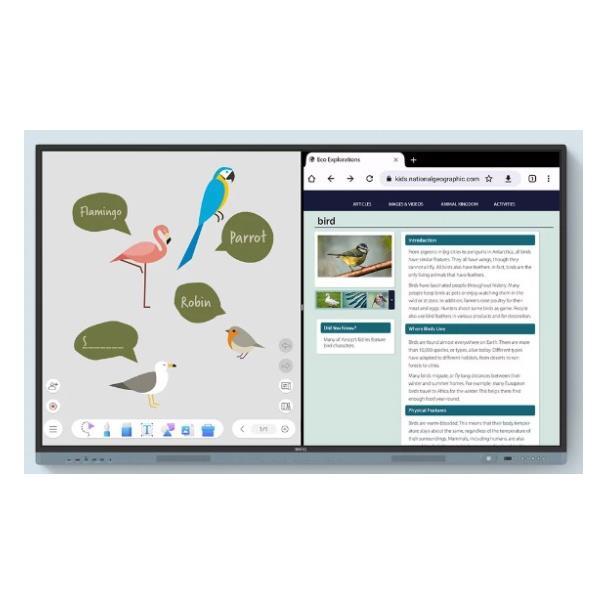 BenQ RM7504, 190,5 cm (75?), 1649,7 x 927,9 …
