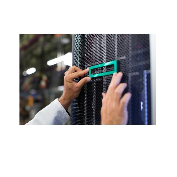 HEWLETT PACKARD ENTERPRISE HPE DL380/DL560 GEN11 2U GPU …