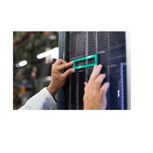 HEWLETT PACKARD ENTERPRISE HPE ML30 GEN11 NS204I-U CBL …