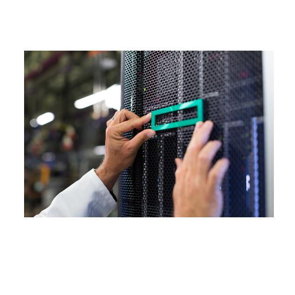 HEWLETT PACKARD ENTERPRISE HPE DL20 GEN11 2LFF/4SFF PCIE …