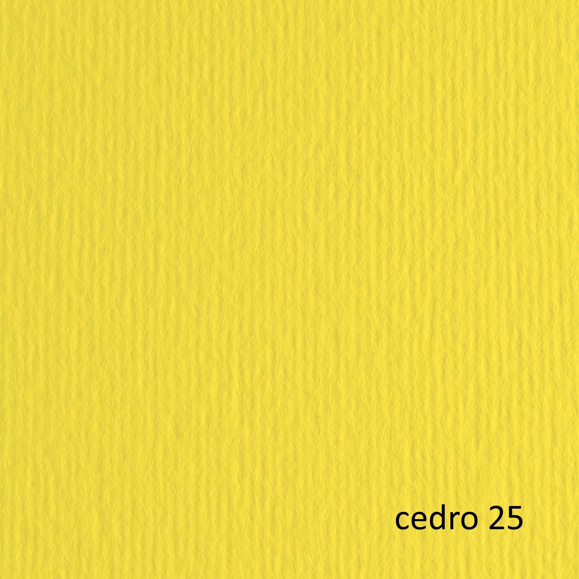 Cartoncino Elle Erre - 50x70cm - 220gr - …